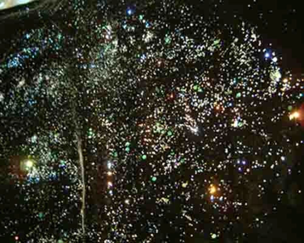 人體彩繪用品系列 彩繪指甲 化妝品