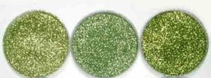彩色金蔥粉綠色系列 彩色金蔥粉